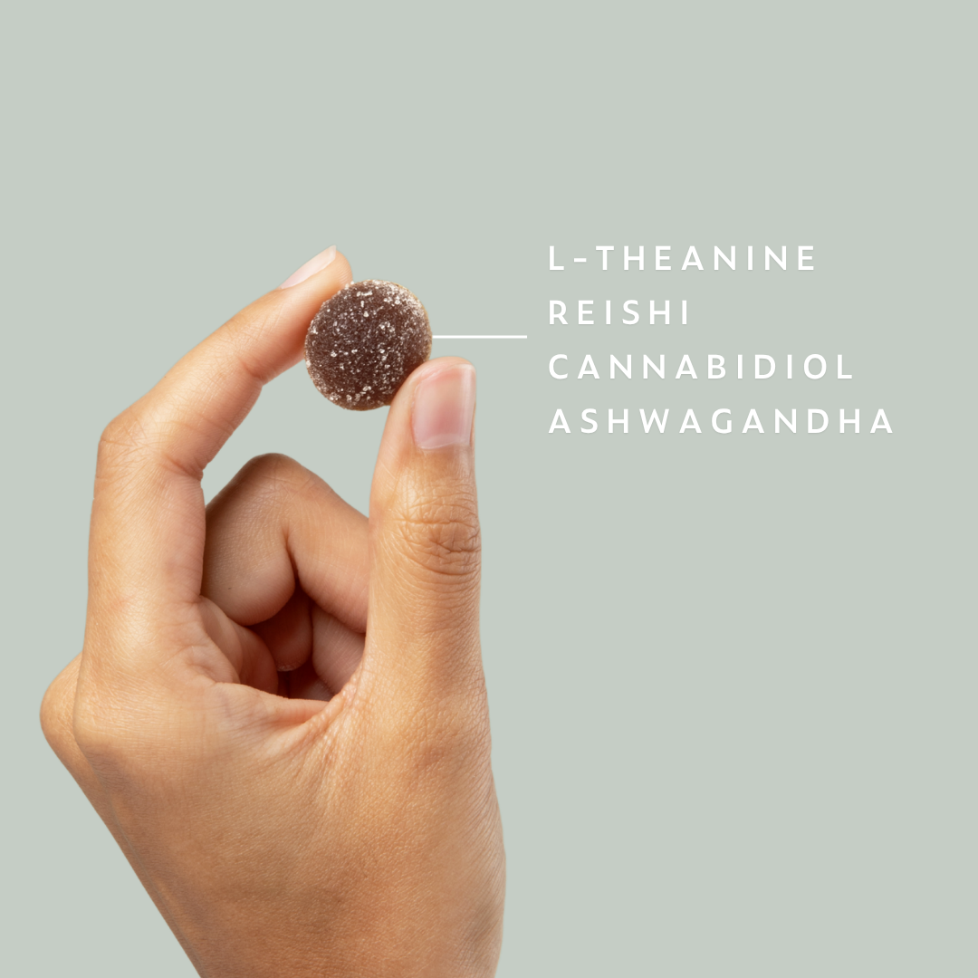 Hand holding a single brown gummy with text listing L-Theanine, Reishi, Cannabidiol, and Ashwagandha ingredients