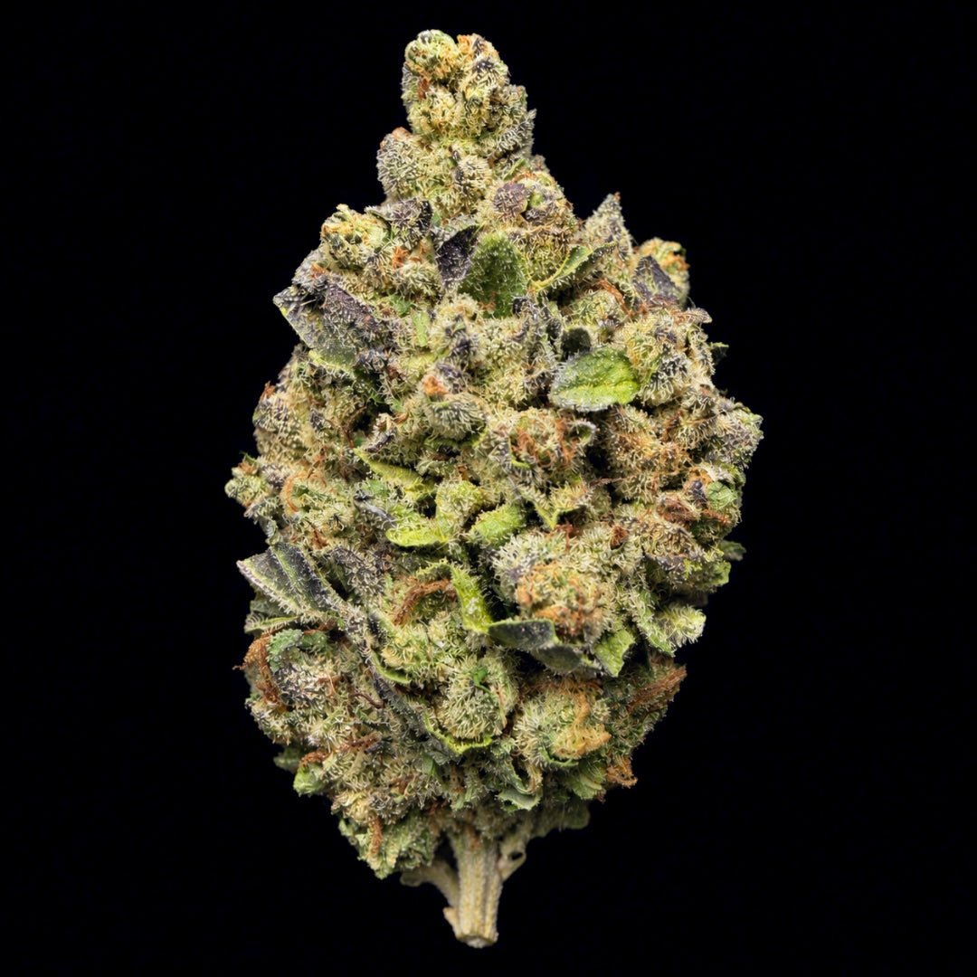 Compact cannabis flower bud with bright lime-green and amber coloring against black background